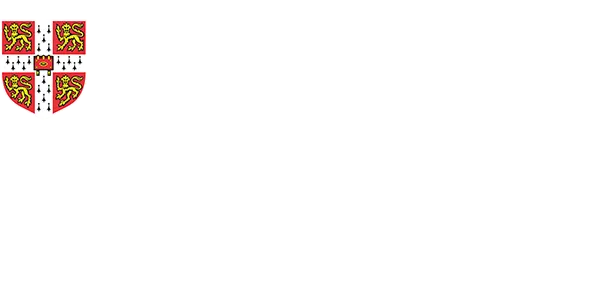 Cambridge International School